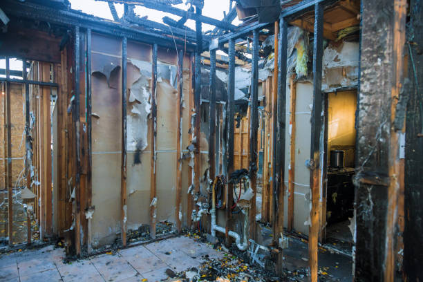 Professional Fire Damage Repair technician working in Newington Forest, VA